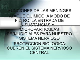 FUNCIONES DE LAS MENINGES
ATAQUE QUIMICO: A MODO DE
FILTRO, LA ENTRADA DE
SUSTANCIAS Y
MICROPARTICULAS
PERJUDICIALES PARA NUESTRO
SISTEMA NERVIOSO
PROTECCION BIOLOGICA:
CUBREN EL SISTEMA NERVIOSO
CENTRAL

 