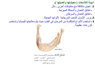 ‫*بيئة اللتسعات ) معيشتها وأهميتها (:‬
‫1ـ تعيش متكافلة مع مخلوقا ت أخرى : مثل‬
‫ـ شقائق النعمان والسمكة المهرجة .‬
‫ـ شقائق النعمان والسرطان .‬
‫3ـ ايزور النسان الشعب المرجانية للوانها الجميلة .‬
‫4 ـ تستخدم النواع المتكلسة من المرجان في الطب حيث ايتم معالجتها كيميائيا وتستخدم‬
‫كزرعا ت عظيمة .‬

 