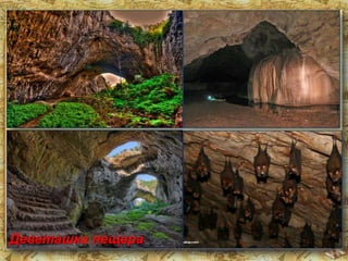 Най-дългата
българска пещера е
Духлата във Витоша.

 