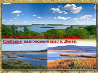 Не по-малко забележително е и езерото
Сребърна, разположено край р. Дунав.

 