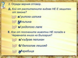 2. Огради верния отговор.
Д. Кой от растителните видове НЕ Е защитен
от закона?

а/ рилска иглика
б/ къпина

в/ родопско лале
Е. Кое от посочените животни НЕ попада в
Червената книга на България?

а/ къдрав пеликан
б/ белоглав лешояд
в/ яребица

 