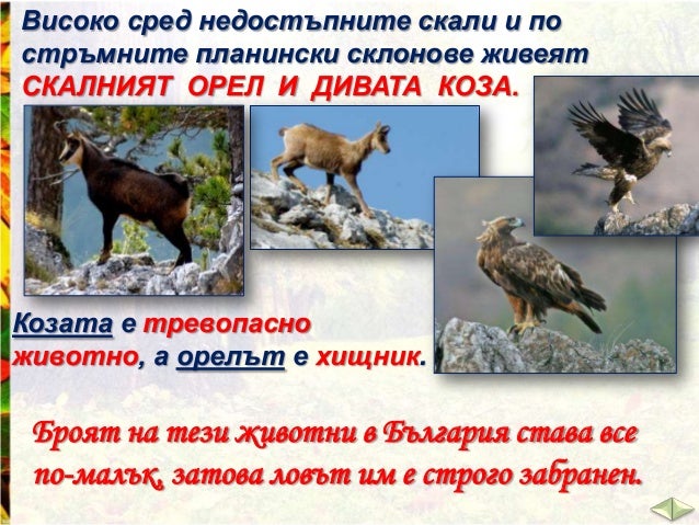 Животните на сушата - ЧП,-3-клас,-Булвест