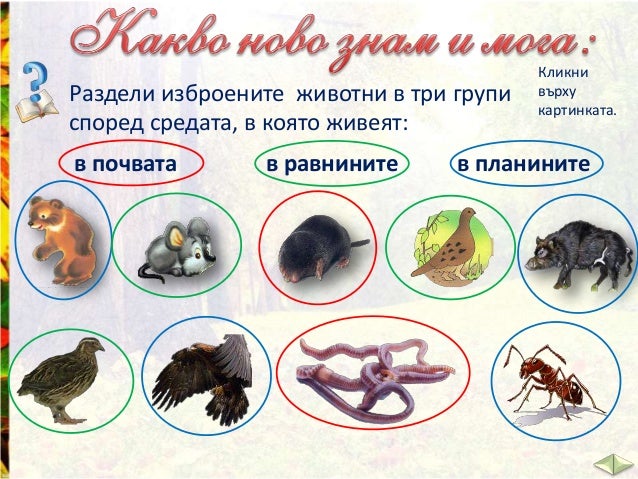 Животните на сушата - ЧП,-3-клас,-Булвест