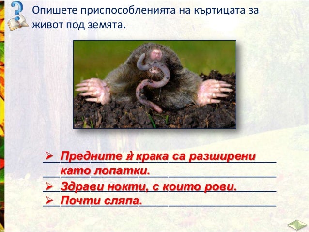 Животните на сушата - ЧП,-3-клас,-Булвест