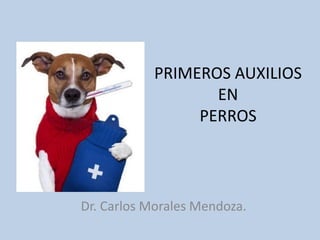 PRIMEROS AUXILIOS
EN
PERROS

Dr. Carlos Morales Mendoza.

 
