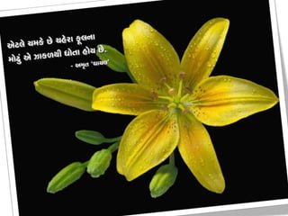 75

]Rusin $hah

February 27, 2014

 