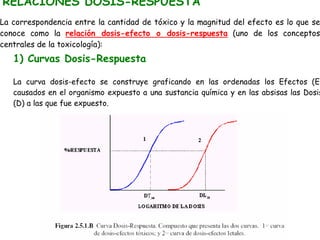 RELACIONES DOSIS-RESPUESTA
La correspondencia entre la cantidad de tóxico y la magnitud del efecto es lo que se
conoce como la relación dosis-efecto o dosis-respuesta (uno de los conceptos
centrales de la toxicología):

1) Curvas Dosis-Respuesta
La curva dosis-efecto se construye graficando en las ordenadas los Efectos (E)
causados en el organismo expuesto a una sustancia química y en las absisas las Dosis
(D) a las que fue expuesto.

 