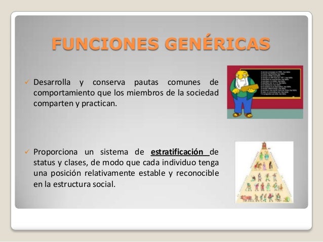 Estructura Y Funcionamiento De Las Sociedades