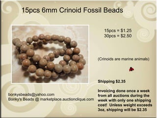 bonkysbeads@yahoo.com
Bonky's Beads @ marketplace.auctionclique.com
Shipping $2.35
Invoicing done once a week
from all auctions during the
week with only one shipping
cost! Unless weight exceeds
3oz, shipping will be $2.35
15pcs 6mm Crinoid Fossil Beads
15pcs = $1.25
30pcs = $2.50
(Crinoids are marine animals)
 