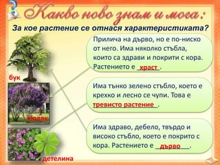 За кое растение се отнася характеристиката?
бук
люляк
детелина
Прилича на дърво, но е по-ниско
от него. Има няколко стъбла,
които са здрави и покрити с кора.
Растението е ______.храст
Има тънко зелено стъбло, което е
крехко и лесно се чупи. Това е
_________________.тревисто растение
Има здраво, дебело, твърдо и
високо стъбло, което е покрито с
кора. Растението е _________.дърво
 