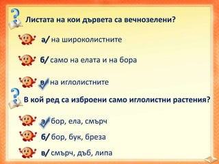 Листата на кои дървета са вечнозелени?
а/ на широколистните
б/ само на елата и на бора
в/ на иглолистните
В кой ред са изброени само иглолистни растения?
а/ бор, ела, смърч
б/ бор, бук, бреза
в/ смърч, дъб, липа
 