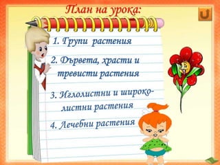 1. Групи растения
2. Дървета, храсти и
тревисти растения
План на урока:
 