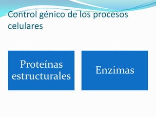 3. contracción muscular y control génico y homeostasis del medio ...