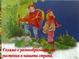 Растенията и тяхната среда на живот - ЧП, 3 клас, Булвест | PPT