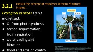Explain the concept of resources in terms of natural
income.3.2.1
Ecological services aren’t
monetized:
● O2
from photosynthesis
● carbon sequestration
from respiration
● water cycling and
filtration
● flood and erosion control
http://www.wsl.
ch/fe/oekosystem/gebirgsoekosysteme/themen/vegetation_bodens
tabilitaet/Soil_Klosters.jpg and http://faculty.washington.
edu/ktorii/images/research/stomata_fig1.jpg
 