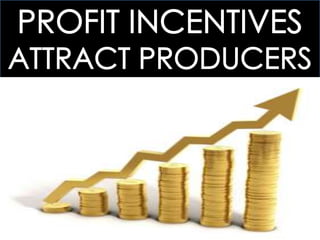 ECOGOV: 3.3 PROVIDING PUBLIC GOODS