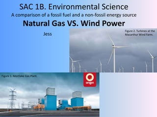 SAC 1B. Environmental Science
A comparison of a fossil fuel and a non-fossil energy source
Natural Gas VS. Wind Power
Jess
Figure 2. Turbines at the
Macarthur Wind Farm.
Figure 1. Mortlake Gas Plant.
 