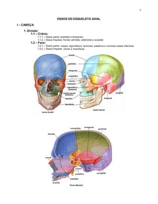 OSSOS DO ESQUELETO AXIAL
I – CABEÇA:
1. Divisão:
1.1 – Crânio:
1.1.1 – Ossos pares: parietais e temporais.
1.1.2 – Ossos Ímpares: frontal, etmóide, esfenóide e occipital.
1.2 – Face:
1.2.1 – Ossos pares: nasais, zigomáticos, lacrimais, palatinos e conchas nasais inferiores.
1.2.2 – Ossos Ímpares: vômer e mandíbula.
 