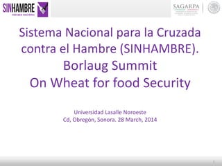 1
Sistema Nacional para la Cruzada
contra el Hambre (SINHAMBRE).
Borlaug Summit
On Wheat for food Security
Universidad Lasalle Noroeste
Cd, Obregón, Sonora. 28 March, 2014
 