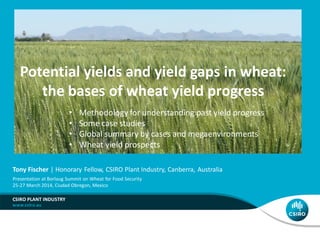 Potential yields and yield gaps in wheat:
the bases of wheat yield progress
CSIRO PLANT INDUSTRY
Tony Fischer | Honorary Fellow, CSIRO Plant Industry, Canberra, Australia
Presentation at Borlaug Summit on Wheat for Food Security
25-27 March 2014, Ciudad Obregon, Mexico
• Methodology for understanding past yield progress
• Some case studies
• Global summary by cases and megaenvironments
• Wheat yield prospects
 