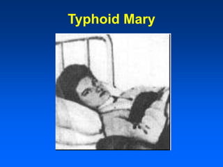 Typhoid Mary
 