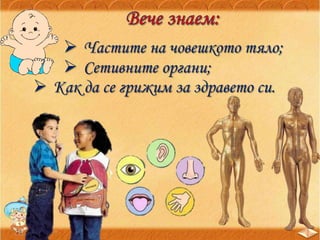  Частите на човешкото тяло;
 Сетивните органи;
 Как да се грижим за здравето си.
 