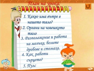 2. Органи на човешкото
тяло
1. Какво има вътре в
нашето тяло?
План на урока:
 