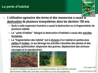 (c) McGraw Hill Ryerson 2007
La perte d’habitat
• L’utilisation agressive des terres et des ressources a causé la
destruction de plusieurs écosystèmes dans les derniers 150 ans.
 Suite à cette expansion humaine a causé la destruction ou la fragmentation de
plusieurs habitat.
 La “ perte d’habitat ” désigne la destruction d’habitats à cause des activités
humaines.
 La “fragmentation des habitat” est la division d’un habitat en parties plus
petites et isolées, ce qui dérange les activités naturelles des plantes et des
animaux (pollinisation, dispersion des graines, déplacement des animaux
sauvages et la reproduction).
Voir page 126
La perte d’habitat (à gauche) et la fragmentation des habitats (droite)
démontrent l’effet des activités humaines sur les écosystèmes.
 