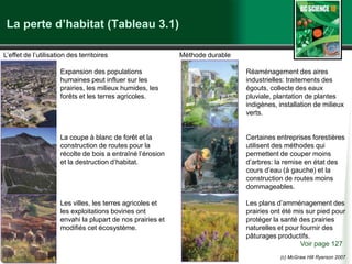 (c) McGraw Hill Ryerson 2007
La perte d’habitat (Tableau 3.1)
Voir page 127
Expansion des populations
humaines peut influer sur les
prairies, les milieux humides, les
forêts et les terres agricoles.
La coupe à blanc de forêt et la
construction de routes pour la
récolte de bois a entraîné l’érosion
et la destruction d’habitat.
Les villes, les terres agricoles et
les exploitations bovines ont
envahi la plupart de nos prairies et
modifiés cet écosystème.
L’effet de l’utilisation des territoires Méthode durable
Réaménagement des aires
industrielles: traitements des
égouts, collecte des eaux
pluviale, plantation de plantes
indigènes, installation de milieux
verts.
Certaines entreprises forestières
utilisent des méthodes qui
permettent de couper moins
d’arbres: la remise en état des
cours d’eau (à gauche) et la
construction de routes moins
dommageables.
Les plans d’amménagement des
prairies ont été mis sur pied pour
protéger la santé des prairies
naturelles et pour fournir des
pâturages productifs.
 