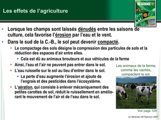 (c) McGraw Hill Ryerson 2007
Les effets de l’agriculture
• Lorsque les champs sont laissés dénudés entre les saisons de
culture, cela favorise l’érosion par l’eau et le vent.
• Dans le sud de la C.-B., le sol peut devenir compacté.
 Le compactage des sols désigne la compression des particules de sols et la
réduction des espaces d’air entre elles.
 Cela est dû au animaux brouteurs et aux véhicules de la ferme
 Ainsi, l’eau et l’air ne peuvent pas entrer dans le sol.
 L’eau ruisselle sur le sol au lieu d’entrer dans le sol.
 La perte d’eau augmente l’érosion et ajoute de
l’engrais et des pesticides dans l’écosystème.
 L’aération, qui consiste à enlever mécaniquement des
petites carottes de sol, réduit le ruissellement en amélio-
rant le mouvement de l’air et de l’eau dans le sol.
Voir page 129
Les animaux de la ferme,
comme les vaches,
compactent le sol.
 