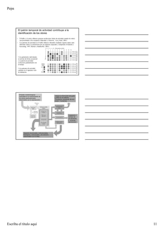 Pepa
Escriba el título aquí 11
El patrón temporal de actividad contribuye a la
identificación de los olores
• El bulbo y el cortex olfatorio generan oscilaciones lentas de actividad cuando los olores
son presentados a los receptores (Macrides y Chorover; Luo y Katz, 2001)
• Los patrones de actividad en el bulbo olfatorio obtenidos mediante registro óptico ante
diferentes olores se caracterizan por sus aspectos espaciales y temporales (Friedrich y
Korsching, 1997; Meister y Bonhoeffer, 2001)
• Los glomérulos individuales
se activan de forma secuencial
y su patrón de actividad
evoluciona gradualmente con
el tiempo
• Los patrones de actividad
cambian en el siguiente ciclo
de inhalación
-Integra la información del gusto
y olfato en los sabores
-Percepción consciente del olor
(lesión anosmia)
Aspectos emocionales, motivacionales,
fisiológicos, conductuales y de memoria
relacionados con el olfato
Aceptación o
rechazo de
los alimentos
y conducta
reproductora
Entradas noradrenérgicas:
implicadas en la memorización de
los olores (particularmente
relacionados con la reproducción)
 
