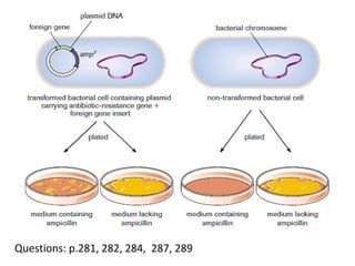 Questions: p.281, 282, 284, 287, 289
 