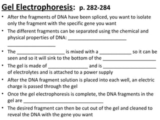 Gel Electrophoresis: p. 282-284
• After the fragments of DNA have been spliced, you want to isolate
only the fragment with the specific gene you want
• The different fragments can be separated using the chemical and
physical properties of DNA: ______________________
__________________
• The __________________ is mixed with a ____________ so it can be
seen and so it will sink to the bottom of the ____________________
• The gel is made of _______________ and is ____________________
of electrolytes and is attached to a power supply
• After the DNA fragment solution is placed into each well, an electric
charge is passed through the gel
• Once the gel electrophoresis is complete, the DNA fragments in the
gel are ______________________________
• The desired fragment can then be cut out of the gel and cleaned to
reveal the DNA with the gene you want
 