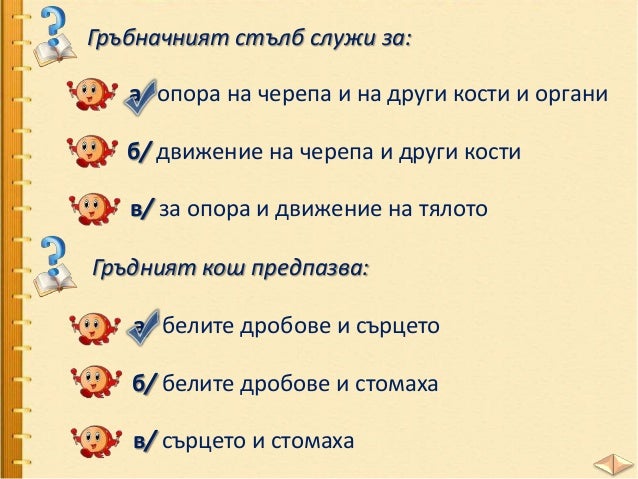 Скелет и мускули - ЧП, 3 клас, Булвест