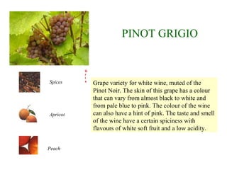 Grape variety for white wine, muted of the
Pinot Noir. The skin of this grape has a colour
that can vary from almost black to white and
from pale blue to pink. The colour of the wine
can also have a hint of pink. The taste and smell
of the wine have a certain spiciness with
flavours of white soft fruit and a low acidity.
PINOT GRIGIO
Spices
Peach
Apricot
P
i
n
o
t
G
r
i
s
 