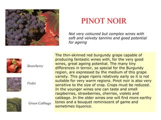 PINOT NOIR
The thin-skinned red burgundy grape capable of
producing fantastic wines with, for the very good
wines, great ageing potential. The many tiny
differences in terroir, so special for the Burgundy
region, are expressed by the medium of this grape
variety. This grape ripens relatively early so it is not
suitable for very warm regions. Pinot noir is also very
sensitive to the size of crop. Crops must be reduced.
In the younger wines one can taste and smell
raspberries, strawberries, cherries, violets and
cabbage. In the older wines one will find more earthy
tones and a bouquet reminiscent of game and
sometimes liquorice.
Strawberry
Violet
Green Cabbage
Not very coloured but complex wines with
soft and velvety tannins and good potential
for ageing
 