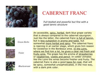 An accessible, spicy, herbal, dark blue grape variety
that is always compared to the cabernet sauvignon.
Just like the latter, the cabernet franc is full of tannin,
but is less outspoken in aroma and taste, but
somewhat more herbal and spicy. The cabernet franc
is ripening in an earlier stage, which gives him reason
for existence in the Bordeaux area. In the Loire,
where we find him a lot, he gives a clear red fresh and
fruity wine. The grape has the aroma of strawberries
or raspberries, violets and pencil. In colder climates
like the Loire the wines become fresher and fruity. The
cabernet franc is also a good basis for rosé, that will
be spicy, somewhat unsophisticated, in the nice way,
with a dark pink color.
CABERNET FRANC
Green Herbs
Violet
Blackcurrant
Full-bodied and powerful but fine with a
good tannic structure
 