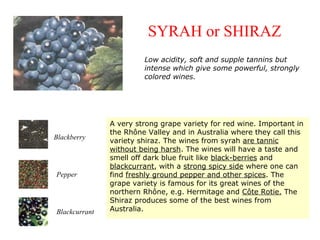 A very strong grape variety for red wine. Important in
the Rhône Valley and in Australia where they call this
variety shiraz. The wines from syrah are tannic
without being harsh. The wines will have a taste and
smell off dark blue fruit like black-berries and
blackcurrant, with a strong spicy side where one can
find freshly ground pepper and other spices. The
grape variety is famous for its great wines of the
northern Rhône, e.g. Hermitage and Côte Rotie. The
Shiraz produces some of the best wines from
Australia.
SYRAH or SHIRAZ
Blackcurrant
Pepper
Blackberry
Low acidity, soft and supple tannins but
intense which give some powerful, strongly
colored wines.
 