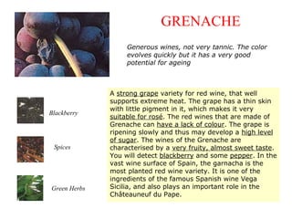 A strong grape variety for red wine, that well
supports extreme heat. The grape has a thin skin
with little pigment in it, which makes it very
suitable for rosé. The red wines that are made of
Grenache can have a lack of colour. The grape is
ripening slowly and thus may develop a high level
of sugar. The wines of the Grenache are
characterised by a very fruity, almost sweet taste.
You will detect blackberry and some pepper. In the
vast wine surface of Spain, the garnacha is the
most planted red wine variety. It is one of the
ingredients of the famous Spanish wine Vega
Sicilia, and also plays an important role in the
Châteauneuf du Pape.
GRENACHE
Spices
Blackberry
Green Herbs
Generous wines, not very tannic. The color
evolves quickly but it has a very good
potential for ageing
 