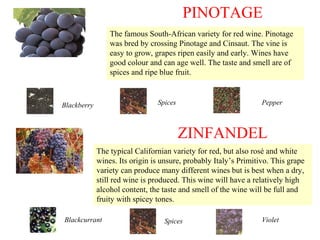 The famous South-African variety for red wine. Pinotage
was bred by crossing Pinotage and Cinsaut. The vine is
easy to grow, grapes ripen easily and early. Wines have
good colour and can age well. The taste and smell are of
spices and ripe blue fruit.
PINOTAGE
Blackberry Spices Pepper
ZINFANDEL
The typical Californian variety for red, but also rosé and white
wines. Its origin is unsure, probably Italy’s Primitivo. This grape
variety can produce many different wines but is best when a dry,
still red wine is produced. This wine will have a relatively high
alcohol content, the taste and smell of the wine will be full and
fruity with spicey tones.
SpicesBlackcurrant Violet
 