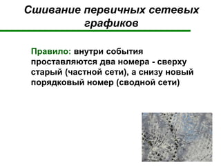 Сшивание первичных сетевых
графиков
Правило: внутри события
проставляются два номера - сверху
старый (частной сети), а снизу новый
порядковый номер (сводной сети)
 