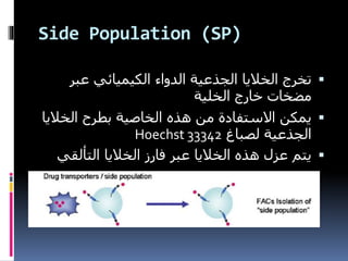 Side Population (SP)
‫عبر‬ ‫الكيميائي‬ ‫الدواء‬ ‫الجذعية‬ ‫الخاليا‬ ‫تخرج‬
‫الخلية‬ ‫خارج‬ ‫مضخات‬
‫الخال‬ ‫بطرح‬ ‫الخاصية‬ ‫هذه‬ ‫من‬ ‫االستفادة‬ ‫يمكن‬‫يا‬
‫لصباغ‬ ‫الجذعية‬Hoechst 33342
‫التألق‬ ‫الخاليا‬ ‫فارز‬ ‫عبر‬ ‫الخاليا‬ ‫هذه‬ ‫عزل‬ ‫يتم‬‫ي‬
 