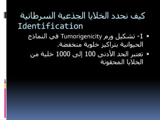 ‫السرطانية‬ ‫الجذعية‬ ‫الخاليا‬ ‫نحدد‬ ‫كيف‬
Identification
1-‫ت‬‫ورم‬ ‫شكيل‬Tumorigenicity‫النماذج‬ ‫في‬
‫منخفضة‬ ‫خلوية‬ ‫بتراكيز‬ ‫الحيوانية‬.
‫األدنى‬ ‫الحد‬ ‫تعتبر‬100‫إلى‬1000‫من‬ ‫خلية‬
‫المحقونة‬ ‫الخاليا‬
 