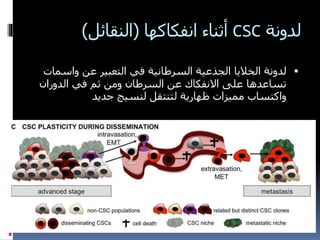 ‫لدونة‬CSC‫انفكاكها‬ ‫أثناء‬(‫النقائل‬)
‫عن‬ ‫التعبير‬ ‫في‬ ‫السرطانية‬ ‫الجذعية‬ ‫الخاليا‬ ‫لدونة‬‫واس‬‫مات‬
‫الدوران‬ ‫في‬ ‫ثم‬ ‫ومن‬ ‫السرطان‬ ‫عن‬ ‫االنفكاك‬ ‫على‬ ‫تساعدها‬
‫جديد‬ ‫لنسيج‬ ‫لتنتقل‬ ‫ظهارية‬ ‫مميزات‬ ‫واكتساب‬
 