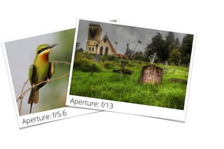 Aperture: f/5.6
Aperture: f/13
 