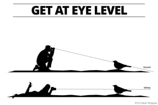 GET AT EYE LEVEL
© Dr Caesar Sengupta
 