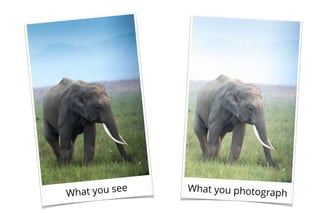 What you see What you photograph
 