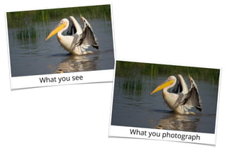 What you see
What you photograph
 