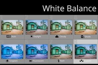 Auto Daylight Cloudy Shade
Tungsten Fluorescent Flash Custom
White Balance
 