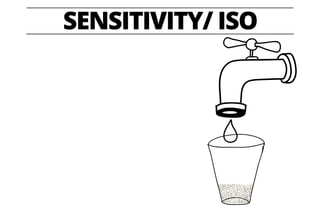 SENSITIVITY/ ISO
 